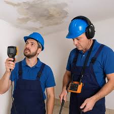 شركة كشف تسربات بالباحة